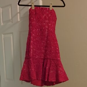 BCBGMaxaria Elegant Red Strapless Dress. Size 6